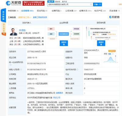 螞蟻集團(tuán)上市在即，金融信息技術(shù)外包助推全球最大規(guī)模IPO